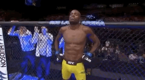 ufc fight night sport GIF by UFC
