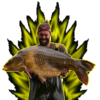 Carpfishing Sticker by NASHTACKLE FRANCE
