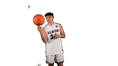 Ppp D3 Sticker by Albion College