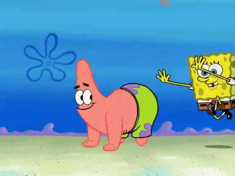 season 6 pet or pets GIF by SpongeBob SquarePants