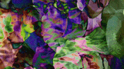 Art Design GIF by jorgemariozuleta