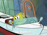 season 5 GIF by SpongeBob SquarePants
