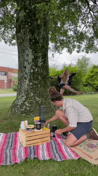 cafeconmigo funny coffee skipping conmigo GIF