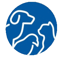 Cats Dogs Sticker