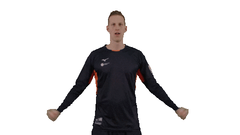 Teamnl Beachvolleybal Sticker by Nevobo