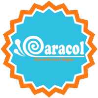 Caracolsorvetenachapa Sticker by Caracol