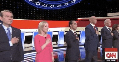 Dnc Debates 2019 2020 Race GIF by GIPHY News