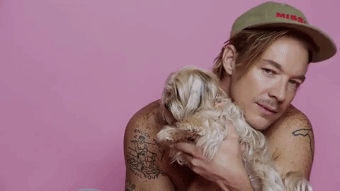 GIF by Pitchfork
