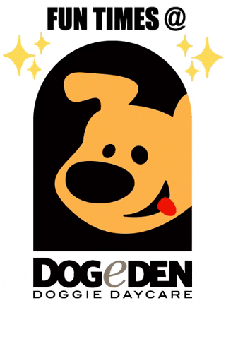 Dogeden funtimes dogdaycare doggydaycare dogeden GIF