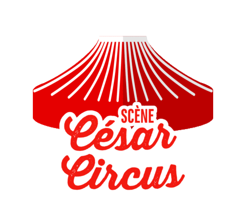 stage cesarcircus Sticker by Solidays