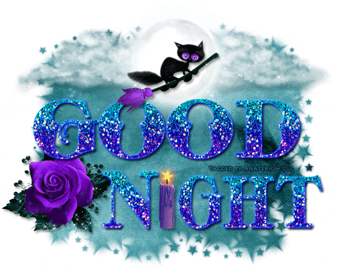 Good Night Witch Cat GIF