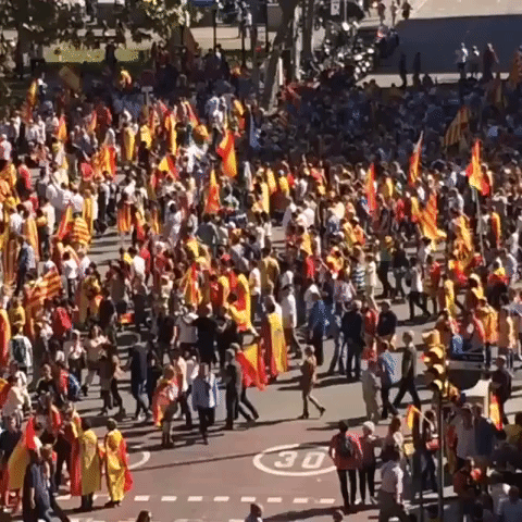 Rallies in Support of Spanish Unity Continue in Barcelona