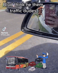 Slokied GIF