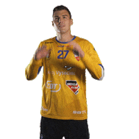 Handball Sticker by Hazena Nove Veseli