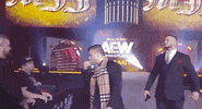 Wrestling Match Aew On Tnt GIF by All Elite Wrestling on TNT