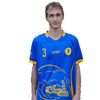 Handball Hazena Sticker by Házená Louny