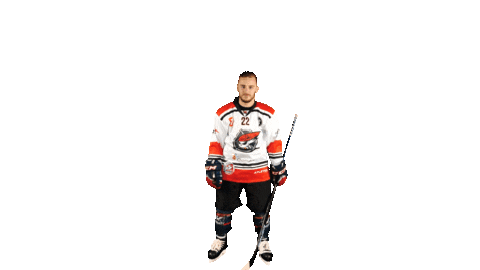 Tomas Hokej Sticker by Piráti Chomutov