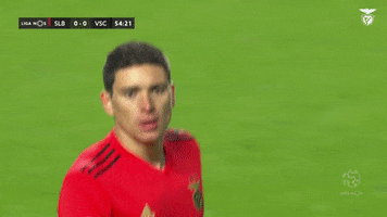 Sl Benfica Darwin GIF by Sport Lisboa e Benfica