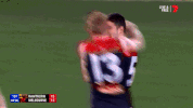 finals footy GIF by AFL