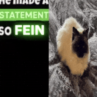 He Made A Statement GIF