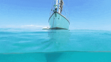 vacation sailing GIF