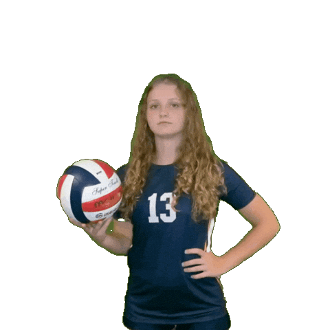 Womens Volleyball Sticker by Clarke University