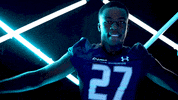 Old Dominion Sport GIF by ODU Football