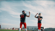 high five formula 1 GIF by Red Bull Racing