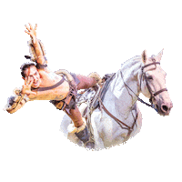ahoyrotterdam celebration rotterdam ahoy horse show Sticker