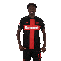 Bayer 04 No Sticker by Bayer 04 Leverkusen