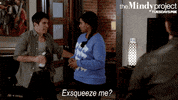 the mindy project GIF by Fox TV