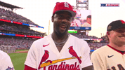 St Louis Cardinals Sport GIF by MLB