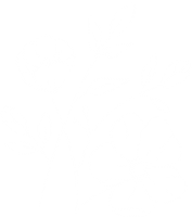 Miloomi flowers white flowers miloomipl miloomi Sticker