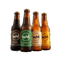 Cheers Cerveza Sticker by CERVECERIA CARTAGENA