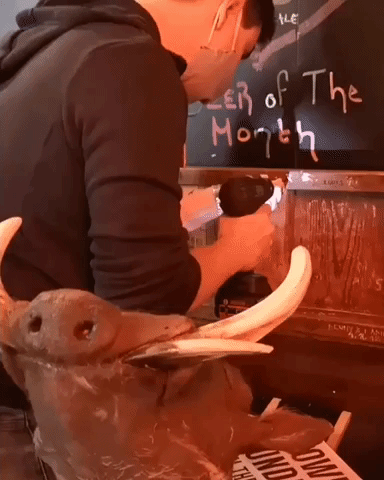Australian Pub in Vienna Uses Mounted Warthog Heads to Enforce Social Distancing Between Tables