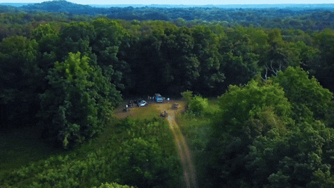 Driving Sorry Not Sorry GIF by Lakeview