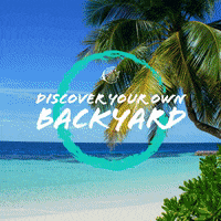 Great Barrier Reef Beach GIF by Dive Adventures