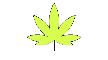 WeedFeedOfficial smoke weed cannabis joint Sticker