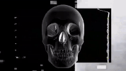 GIF by Death Orgone