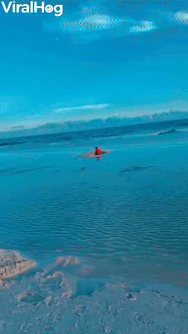 Family Finds Dad Relaxing in a Hole at the Beach