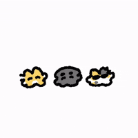 Dance Cat GIF