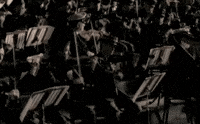 i saved the world today GIF by Eurythmics