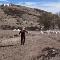 Fire Running GIF by TRT