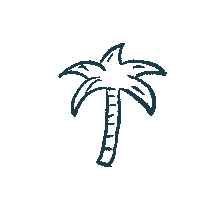 Palm Sticker by Saltwater-Shop.com