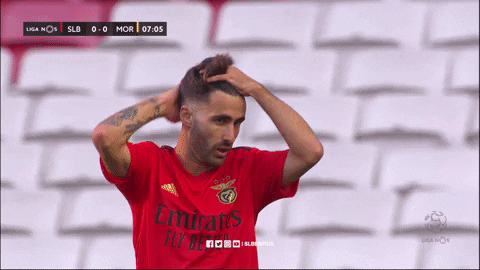 Sl Benfica Rafa GIF by Sport Lisboa e Benfica