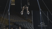 Iowa Hawkeyes Hawks GIF by University of Iowa Hawkeyes Athletics