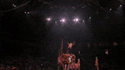 Trick Circus GIF by Ringling Bros. and Barnum & Bailey
