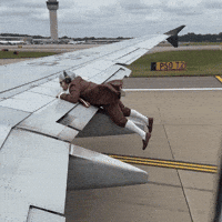 Traveling Taking Off GIF