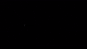 Originals GIF by OUTBNDSN