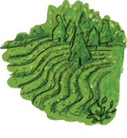 South Korea Travel Sticker by vank